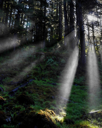 Sun Rays 16x20 768 Sun Rays 16x20 768