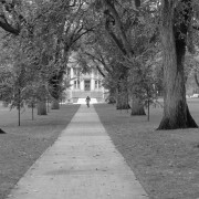 CSU Oval 16x24 768 CSU Oval 16x24 768