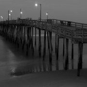 Night Crawlers 20x30 768 Night Crawlers 20x30 768