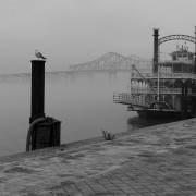 River Boat Bird Bridge 16x24 768 River Boat Bird Bridge 16x24 768